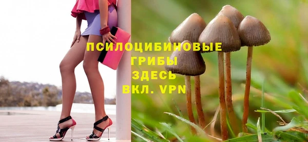 тгк Абинск