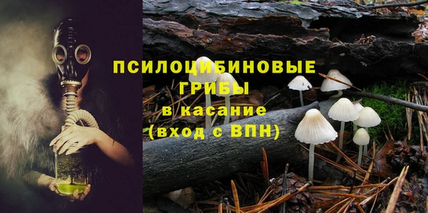 соль ск Абаза