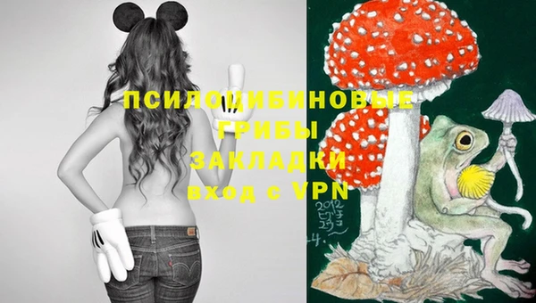 соль ск Абаза
