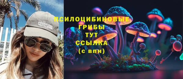 тгк Абинск