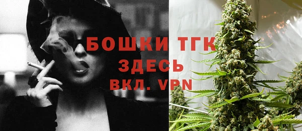 тгк Абинск