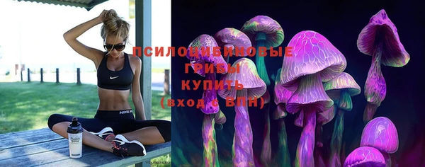 соль ск Абаза
