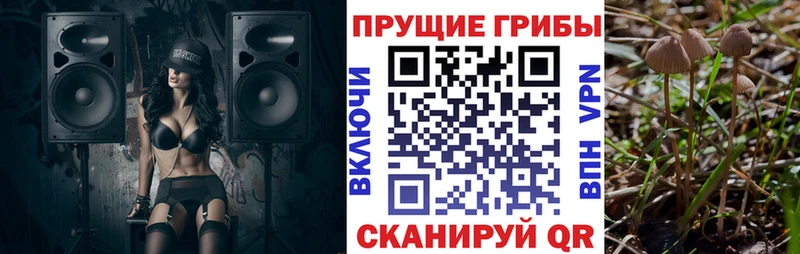 Псилоцибиновые грибы Psilocybine cubensis  купить  сайты  hydra ССЫЛКА  Бобров 